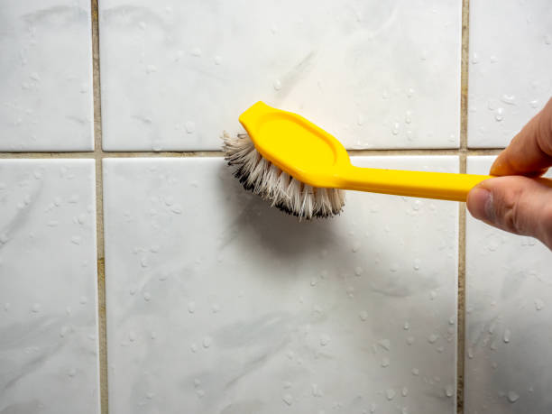 Best Mold Removal Near Me  in La Palma, CA