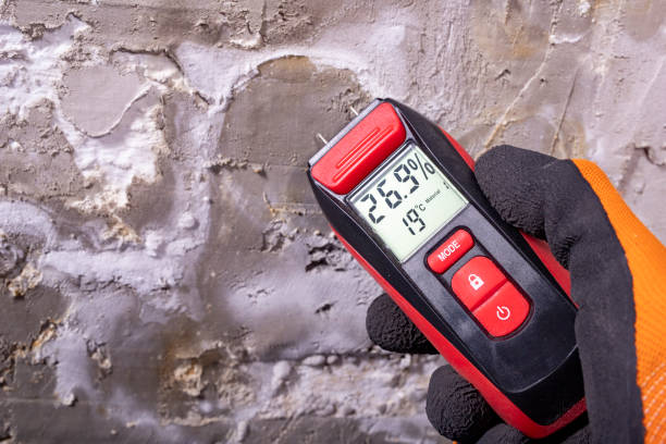 Mold Removal and Inspection in La Palma, CA