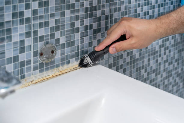 Professional Mold Removal in La Palma, CA