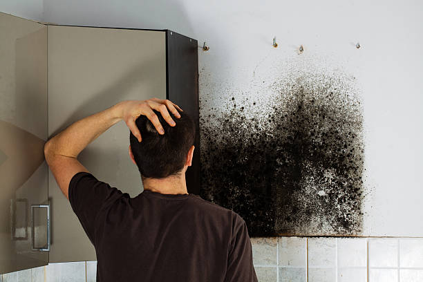 Best Crawl Space Mold Removal  in La Palma, CA